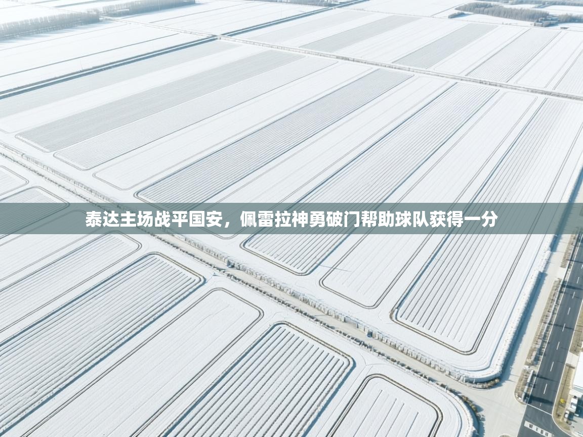 泰达主场战平国安，佩雷拉神勇破门帮助球队获得一分