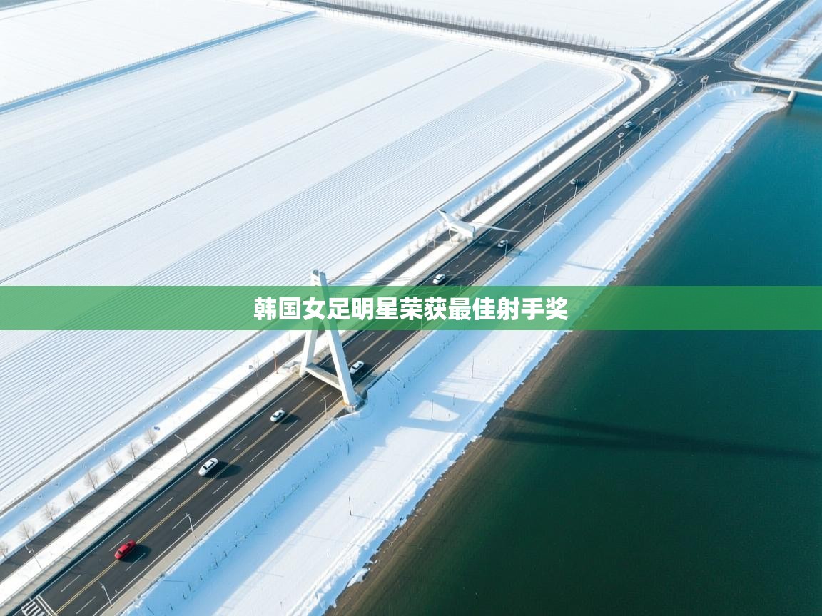 韩国女足明星荣获最佳射手奖  第1张