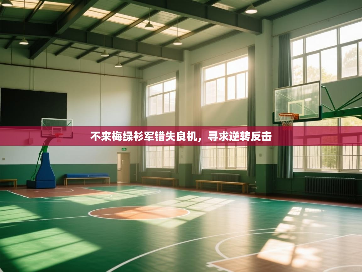 不来梅绿衫军错失良机,寻求逆转反击 第1张