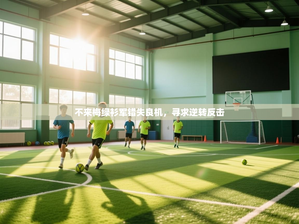 不来梅绿衫军错失良机,寻求逆转反击 第2张