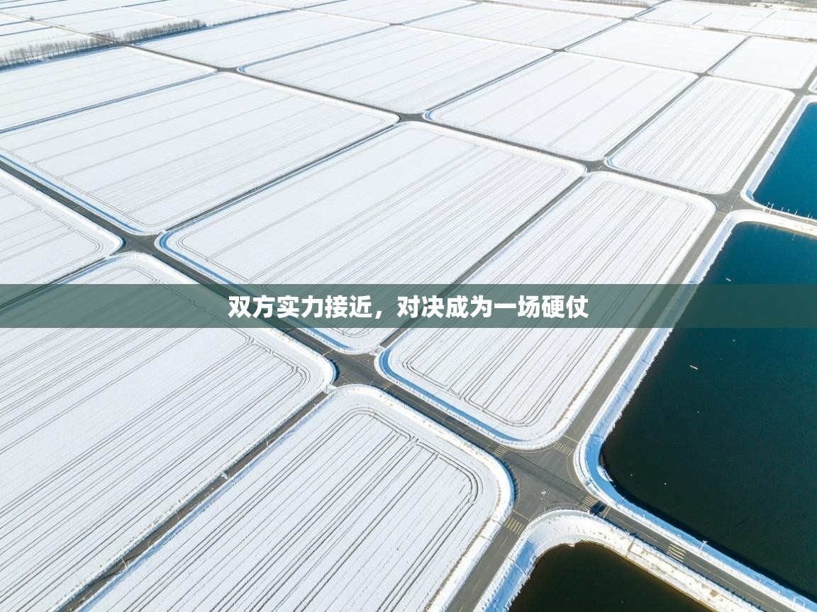 双方实力接近，对决成为一场硬仗  第1张