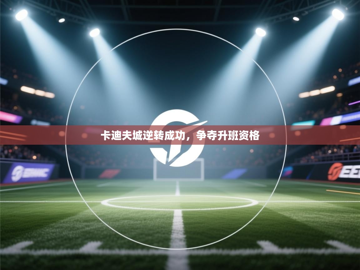 卡迪夫城逆转成功，争夺升班资格