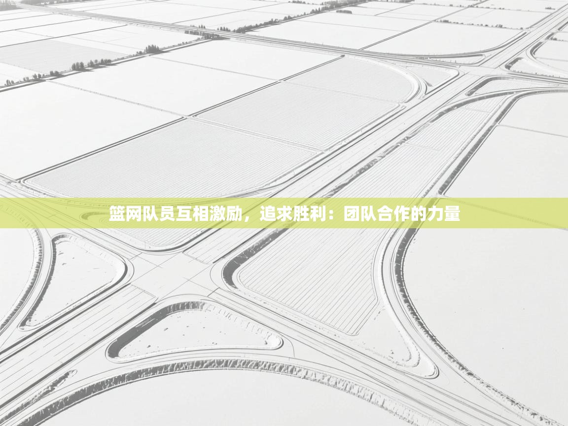 篮网队员互相激励，追求胜利：团队合作的力量  第2张