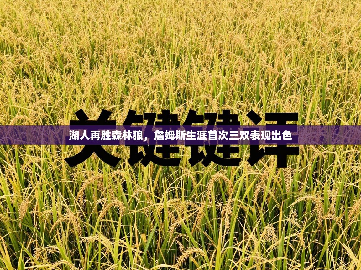 湖人再胜森林狼,詹姆斯生涯首次三双表现出色 第1张